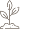 015-plantar