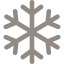 019-floco-de-neve