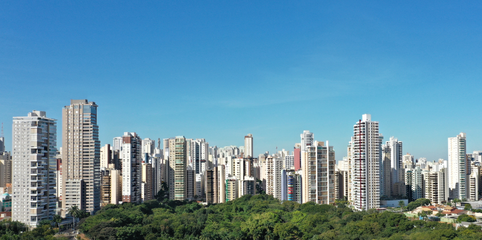 Blog - Consciente