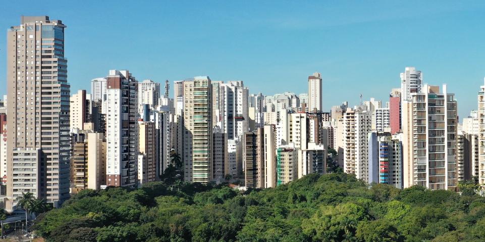 Blog - Consciente