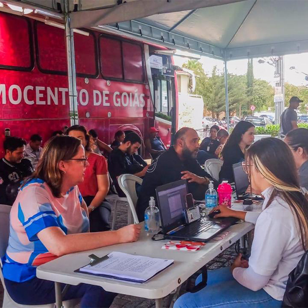 INSITUTO Quadriculado DOAÇÃO 500X500